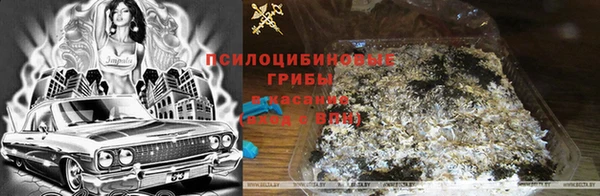 марки lsd Белокуриха