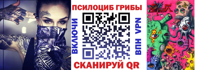 блэк спрут зеркало  Вуктыл  Галлюциногенные грибы GOLDEN TEACHER 
